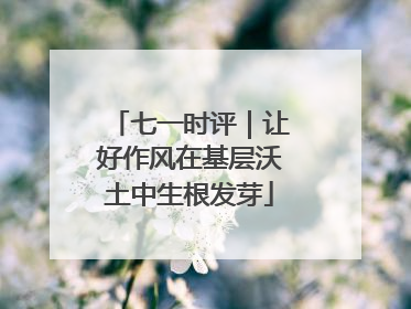 七一时评｜让好作风在基层沃土中生根发芽